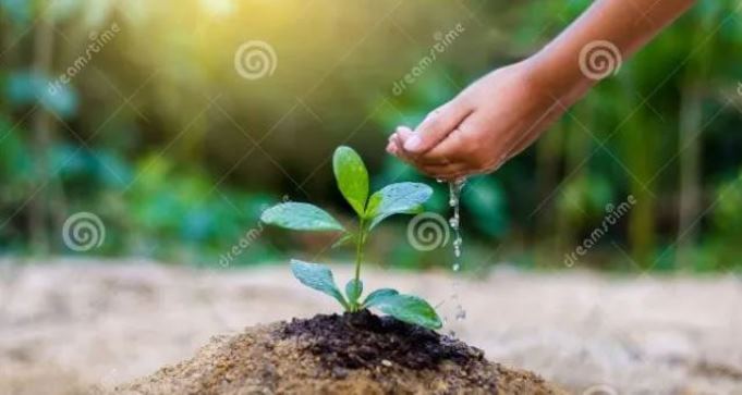 Studi: Sedekah Membuat Anda Sehat dan Bahagia